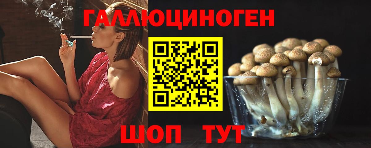 Галлюциногенные грибы Psilocybine cubensis Городец